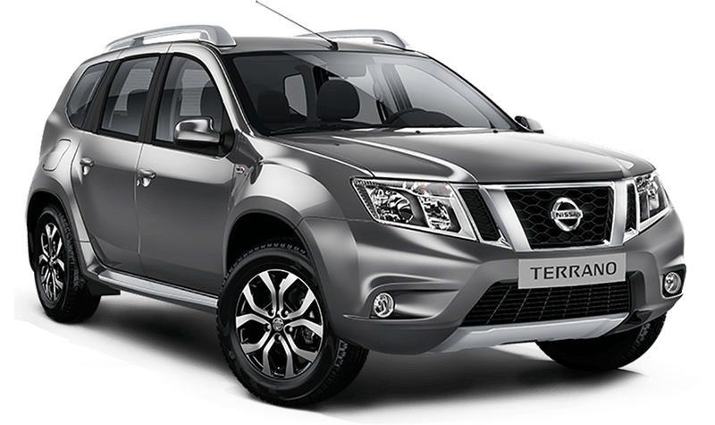 Nissan Terrano, Серый