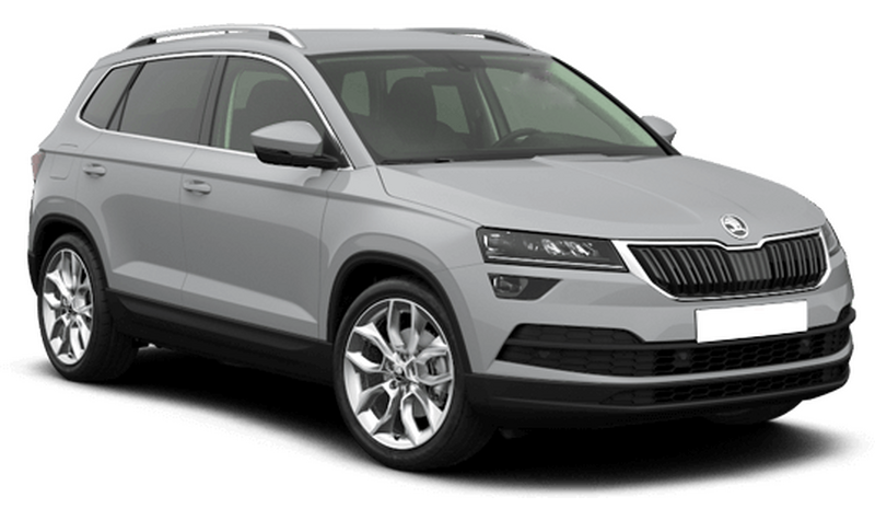 Skoda Karoq, Серый