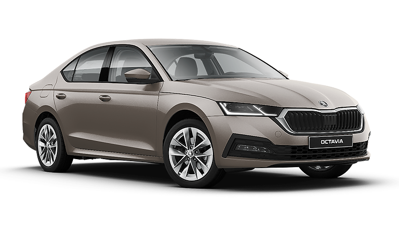 Skoda Новая Octavia, Бежевый металлик