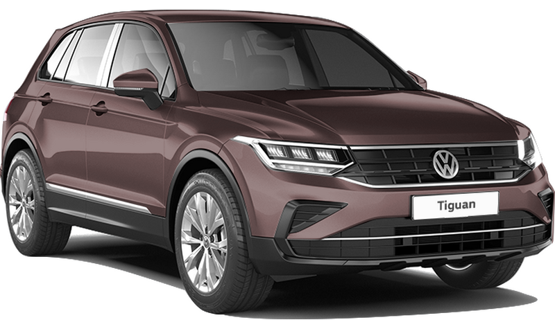 Volkswagen Новый Tiguan, Коричневый 