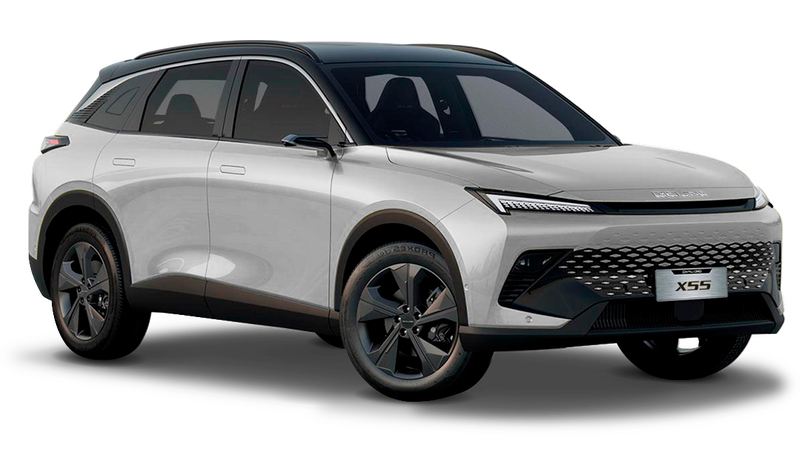 BAIC X55, Светло-серый металлик с чёрной крышей